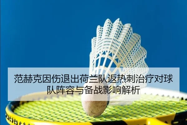 范赫克因伤退出荷兰队返热刺治疗对球队阵容与备战影响解析